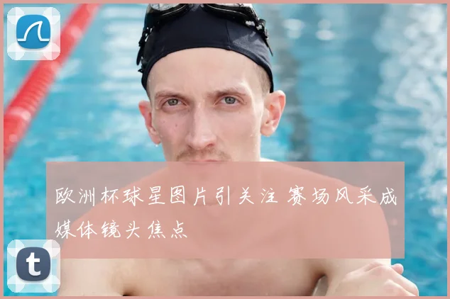 欧洲杯球星图片引关注 赛场风采成媒体镜头焦点