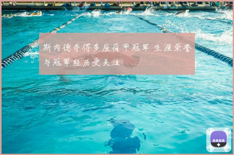 斯内德夺得多座荷甲冠军 生涯荣誉与冠军经历受关注
