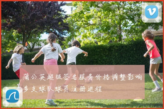 蒲公英超级签名服务价格调整影响多支球队球员注册进程