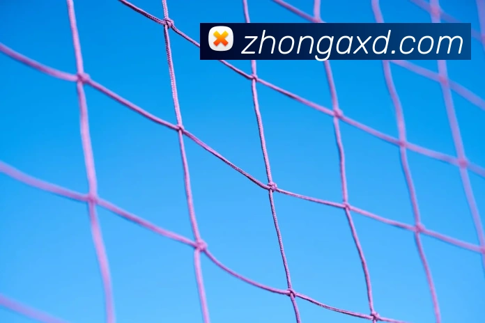 华体会体育官网app赛事直播解说员服务体系